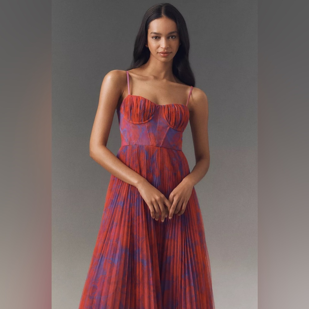 New w/o tags - Hutch Amara Corset Pleated Tulle Fit & Flare Midi Dress